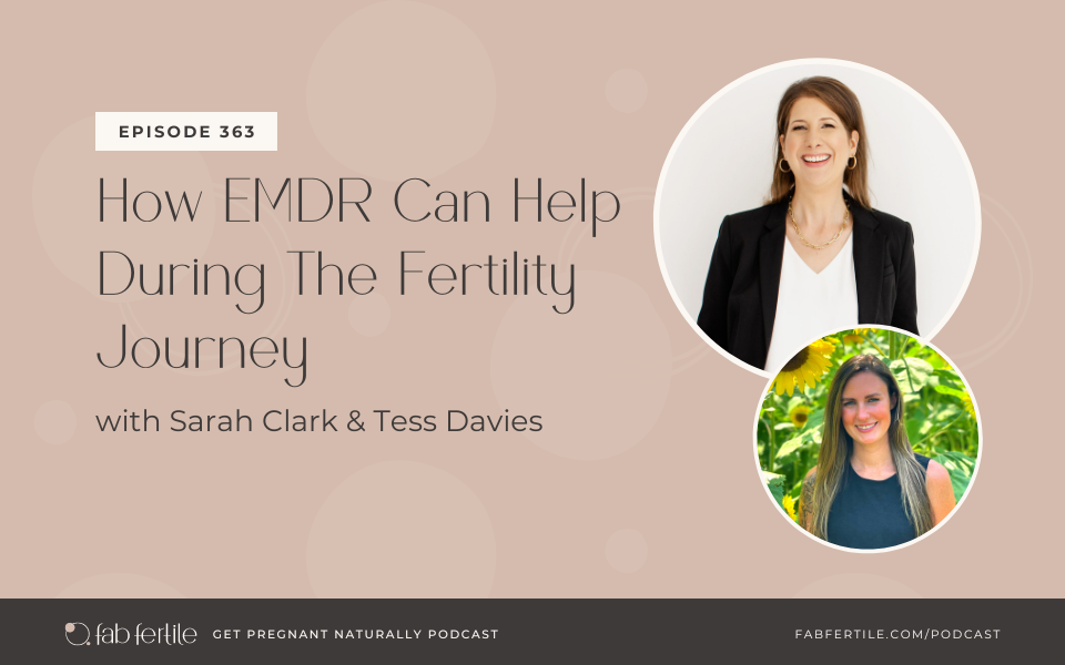 How EMDR Can Help During The Fertility Journey