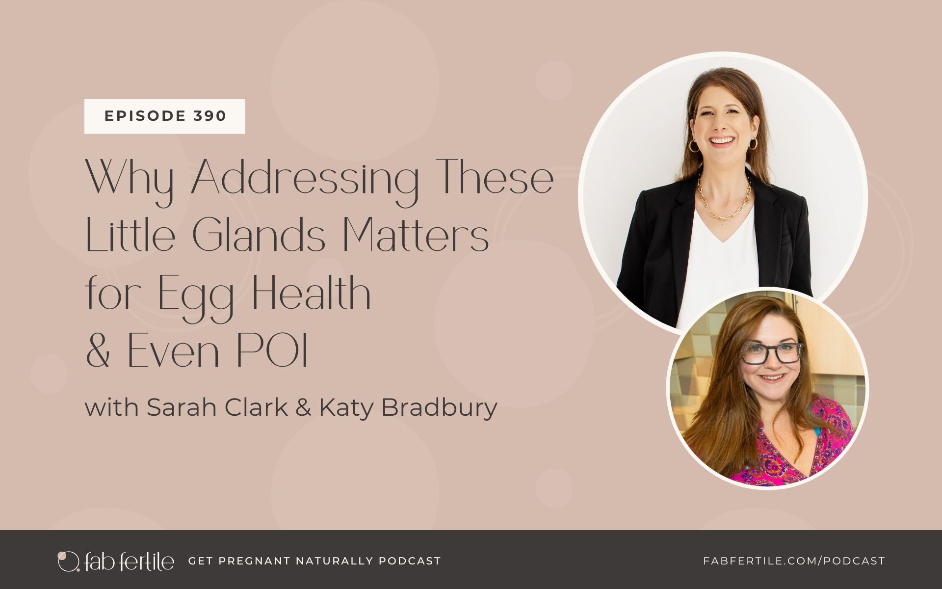 Why Addressing These Little Glands Matters for Egg Health and Even POI