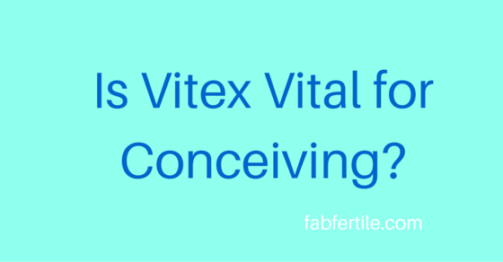 Is-Vitex-Vital-for-Conceiving-.png