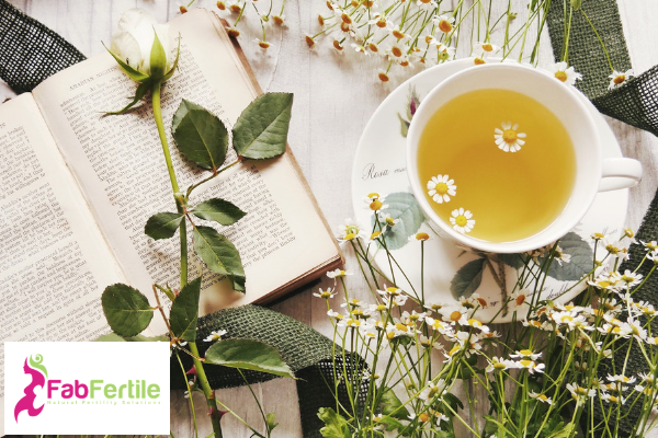 Fertility Teas and Herbs  - Could They Be Harming Your Fertility?