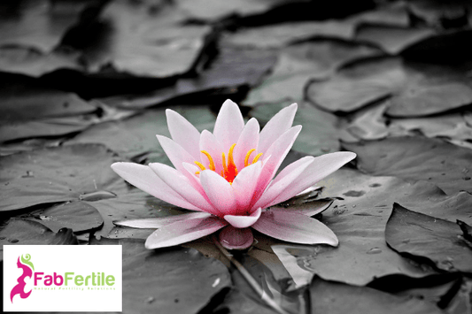 Self Sabotage and the Fertility Journey