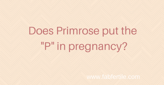 Does-Primrose-put-the--P--in-pregnancy--1.png