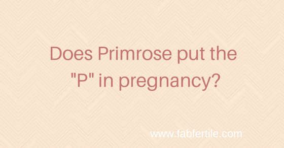 Does-Primrose-put-the--P--in-pregnancy--1.png
