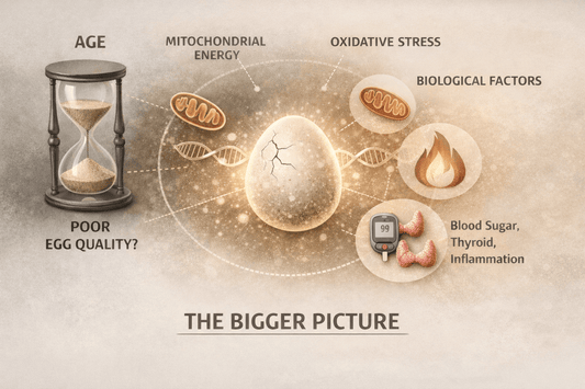 The Myth of “Poor Egg Quality”: Why Your Age Isn’t the Whole Story