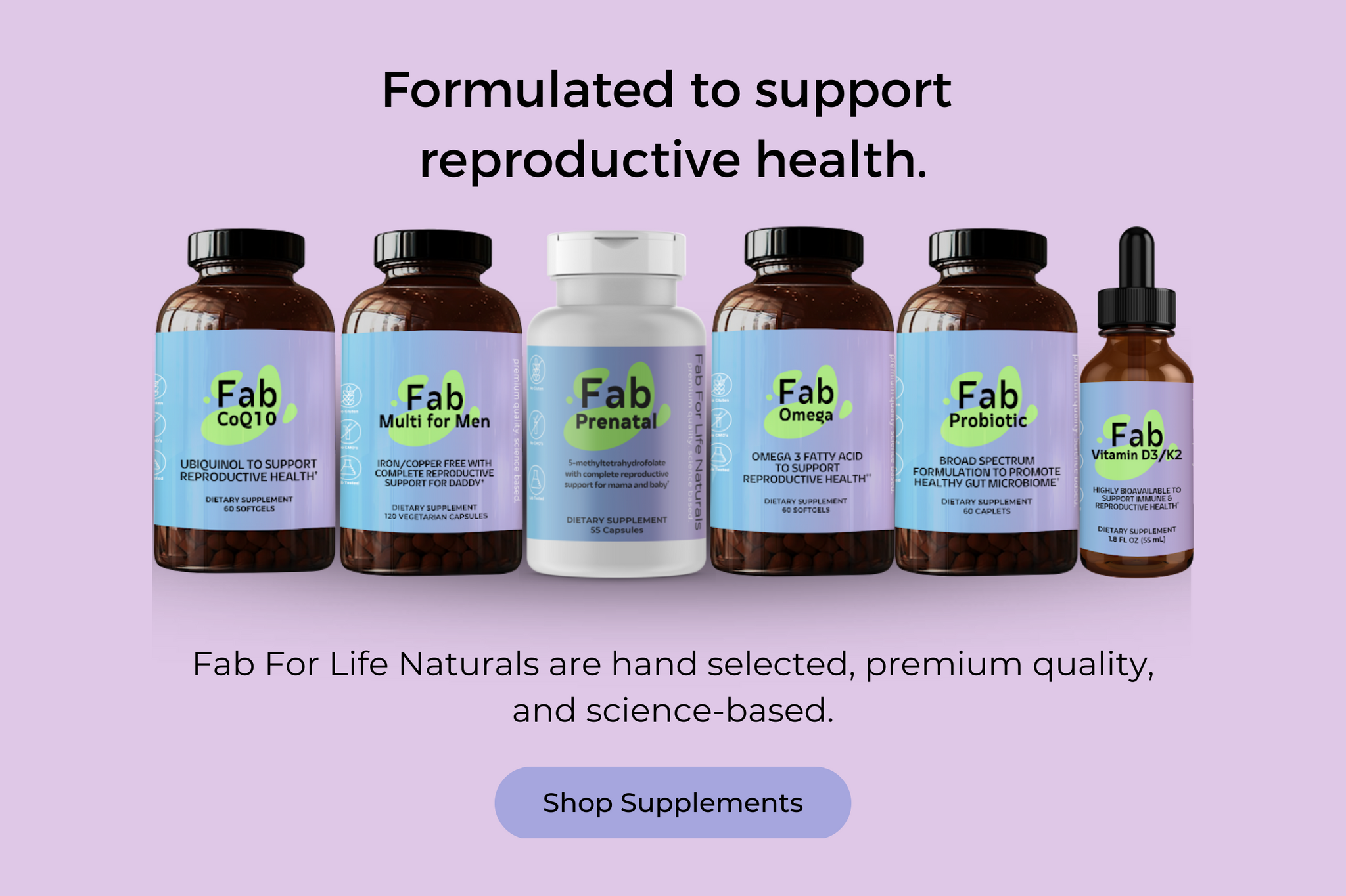 Take These Supplements When You are Consciously Trying to Conceive