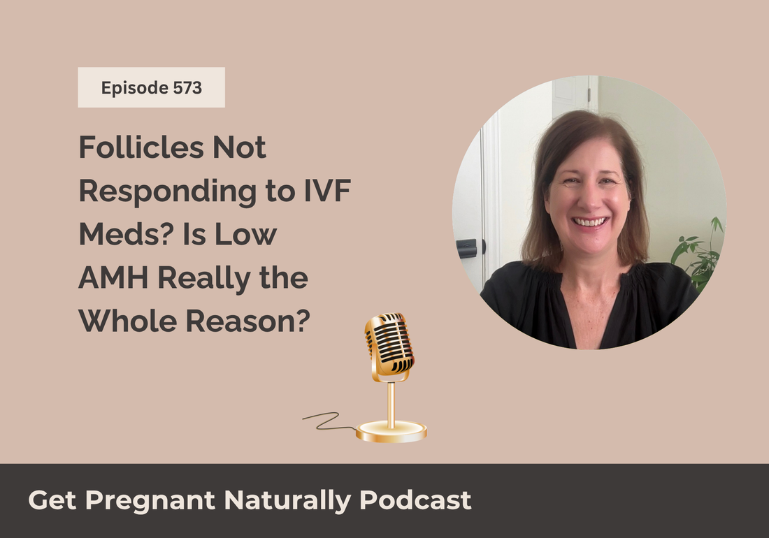 Follicles Not Responding to IVF Meds? Is Low AMH Really the Whole Reason?