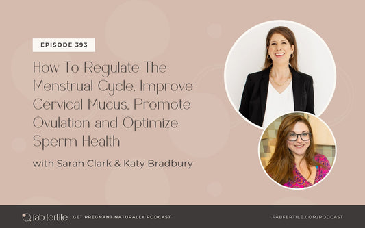 How To Regulate The Menstrual Cycle, Improve Cervical Mucus, Promote Ovulation and Optimize Sperm Health