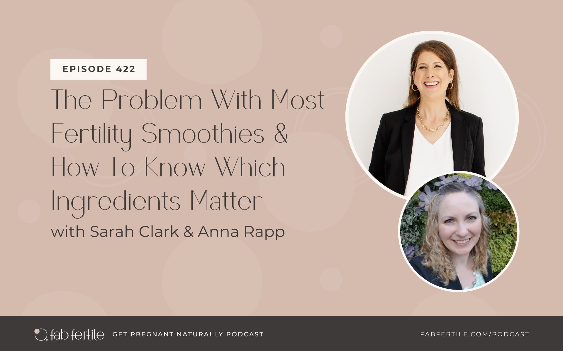 The Problem With Most Fertility Smoothies & How To Know Which Ingredients Matter with Anna Rapp