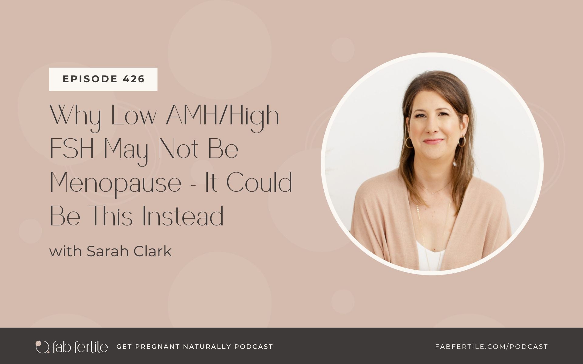 Why Low AMH/High FSH May Not Be Menopause - It Could Be This Instead