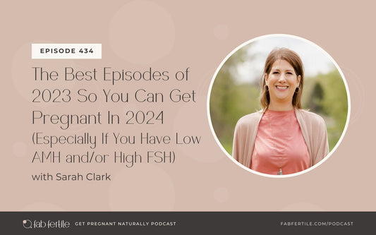The Best Episodes of 2023 So You Can Get Pregnant In 2024 (Especially If You Have Low AMH and/or High FSH)