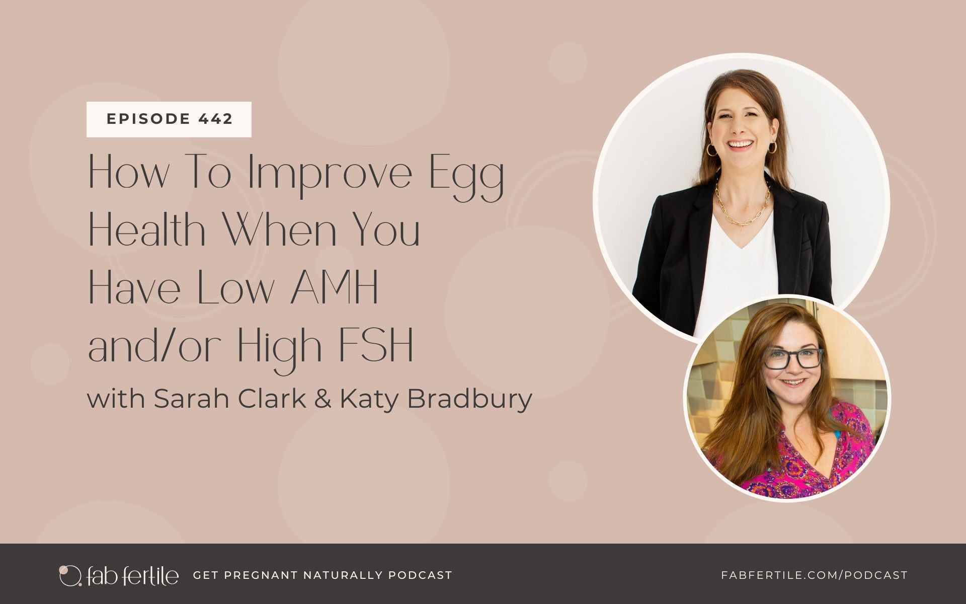 How To Improve Egg Health When You Have Low AMH and/or High FSH