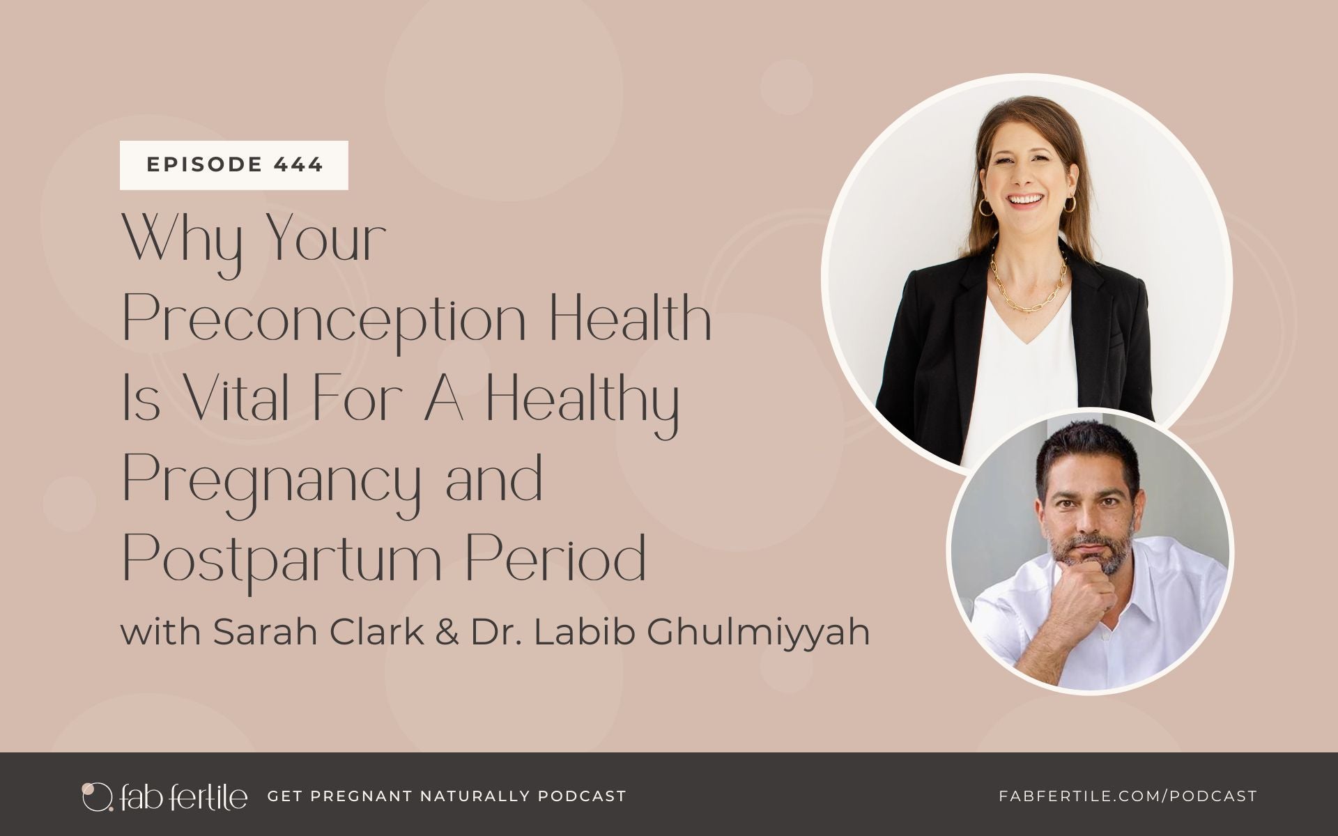 Why Your Preconception Health Is Vital For A Healthy Pregnancy and Postpartum Period with Dr. Labib Ghulmiyyah