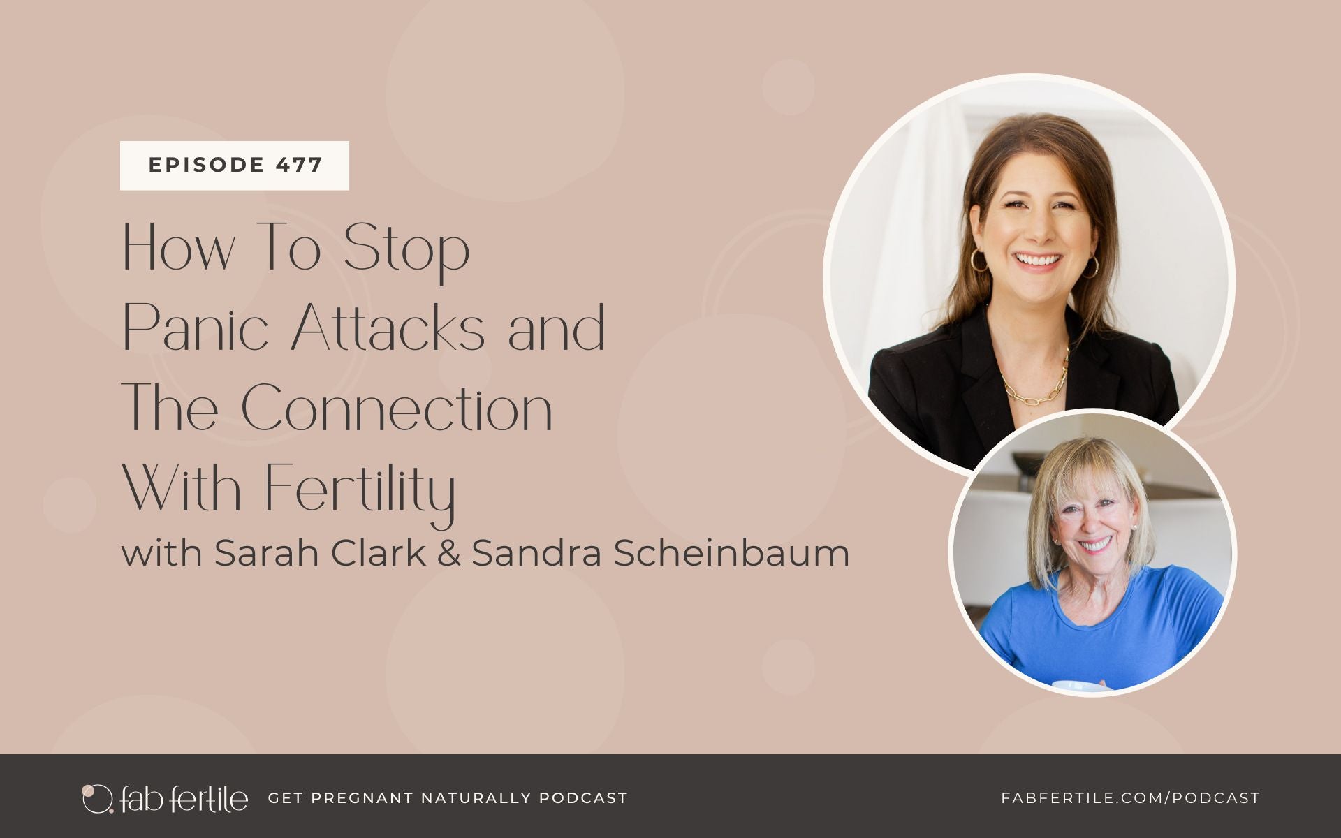 How To Stop Panic Attacks and The Connection With Fertility with Sandra Scheinbaum