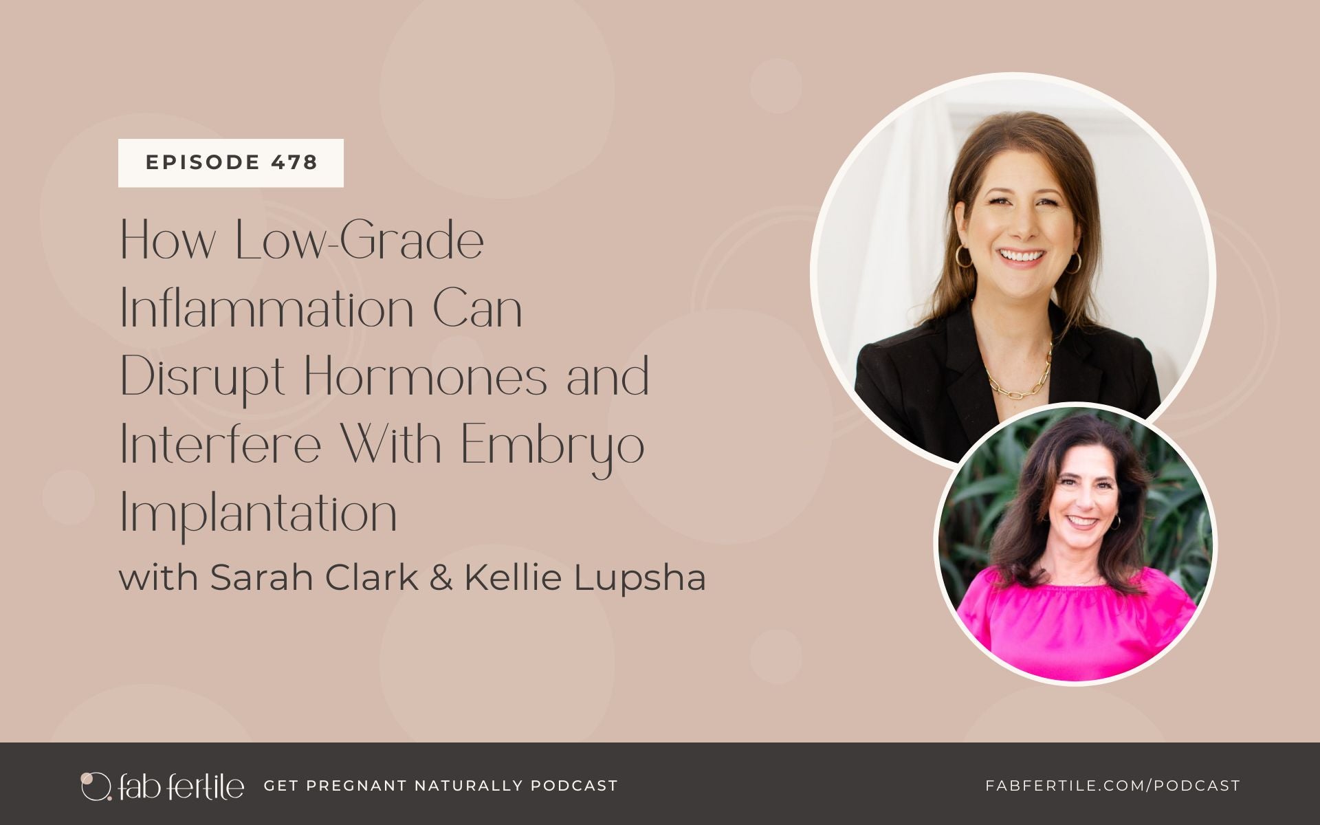 How Low-Grade Inflammation Can Disrupt Hormones and Interfere With Embryo Implantation with Kellie Lupsha