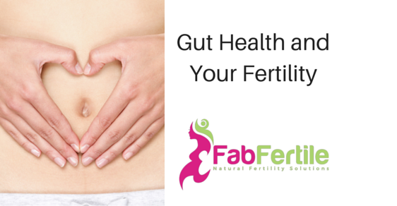 Gut-Health-and-Your-Fertility-1.png