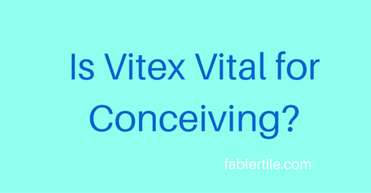 Is-Vitex-Vital-for-Conceiving-.png