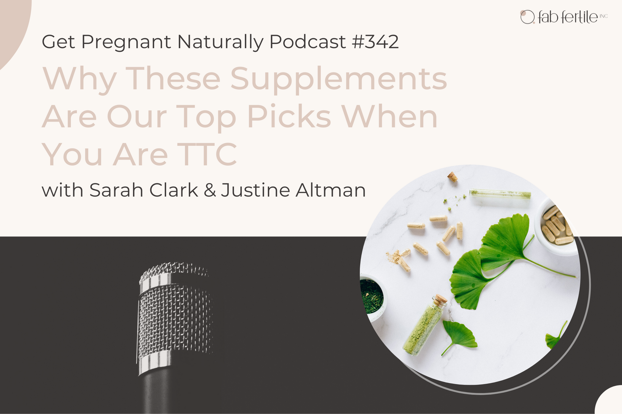 Why These Supplements Are Our Top Picks When You Are TTC