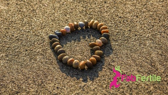 Untitled-design-24.jpg
