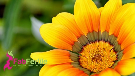 Untitled-design-29.jpg