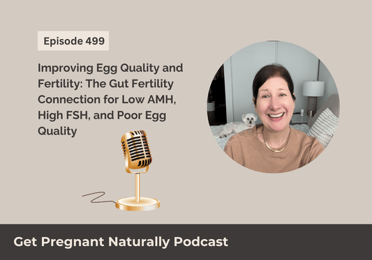 Improving Egg Quality and Fertility: The Gut Fertility Connection for Low AMH, High FSH, and Poor Egg Quality