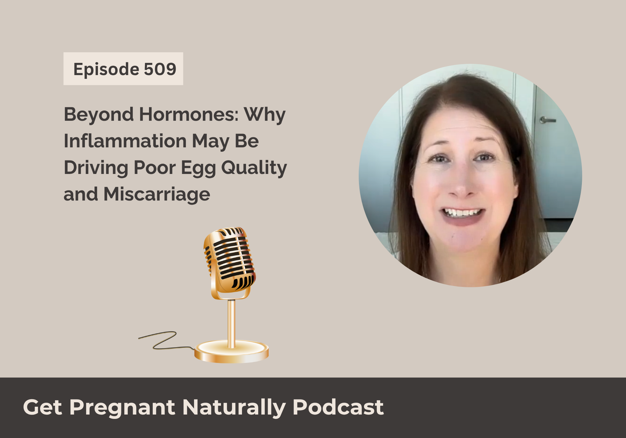 Beyond Hormones: Why Inflammation May Be Driving Poor Egg Quality and Miscarriage