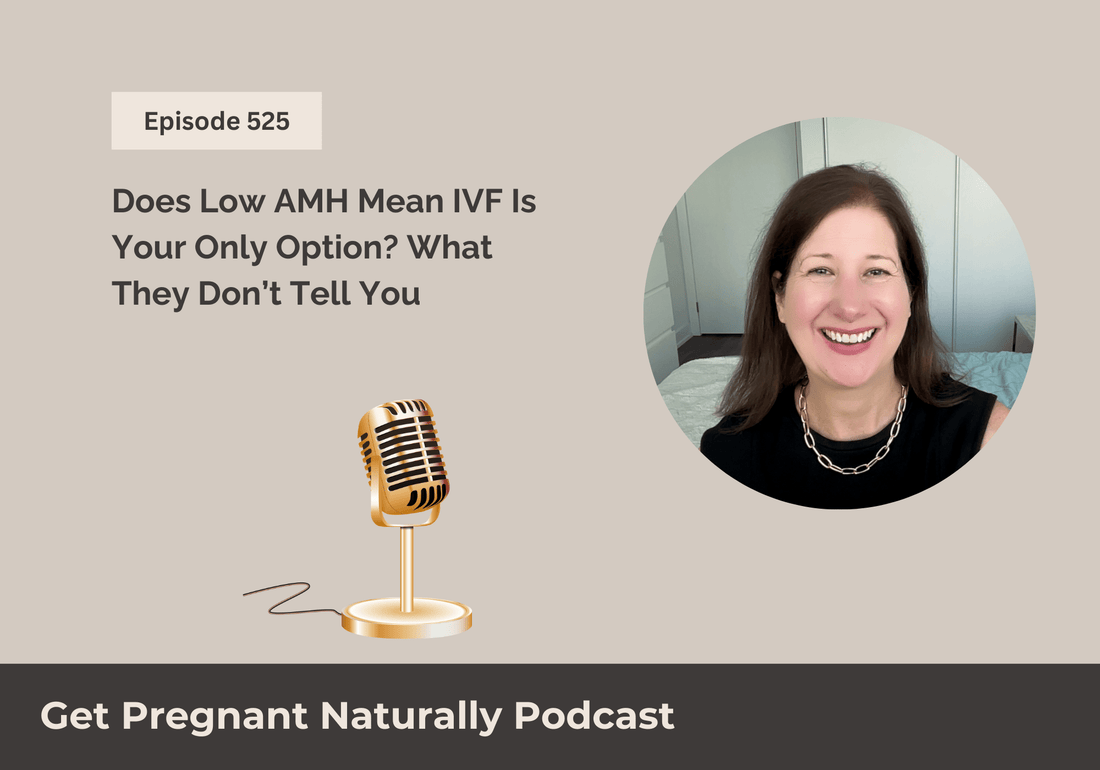 Low AMH and IVF: Functional fertility strategies to improve egg quality, reduce inflammation, and support better outcomes.