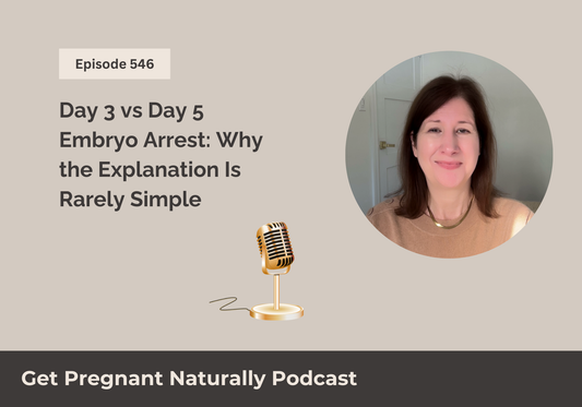 Day 3 vs Day 5 Embryo Arrest: Why the Explanation Is Rarely Simple