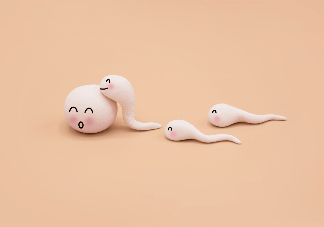 How To Improve Both Egg and Sperm Quality