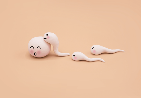 How To Improve Both Egg and Sperm Quality