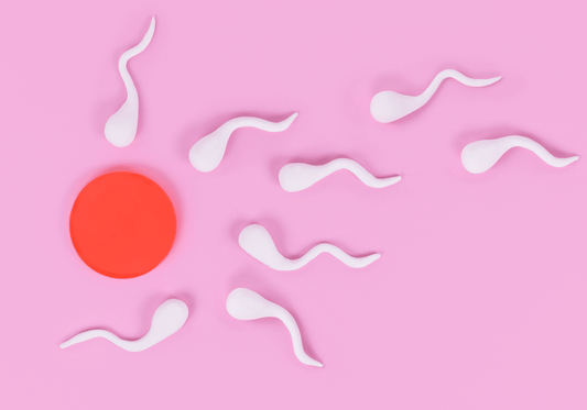 How to Improve egg quality, embryo development and pregnancy rates
