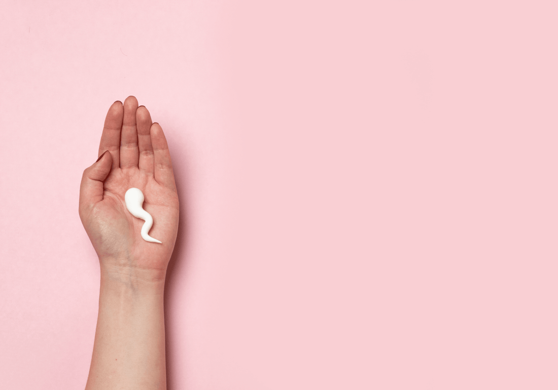 Boosting Male Fertility: The Power of a Multivitamin