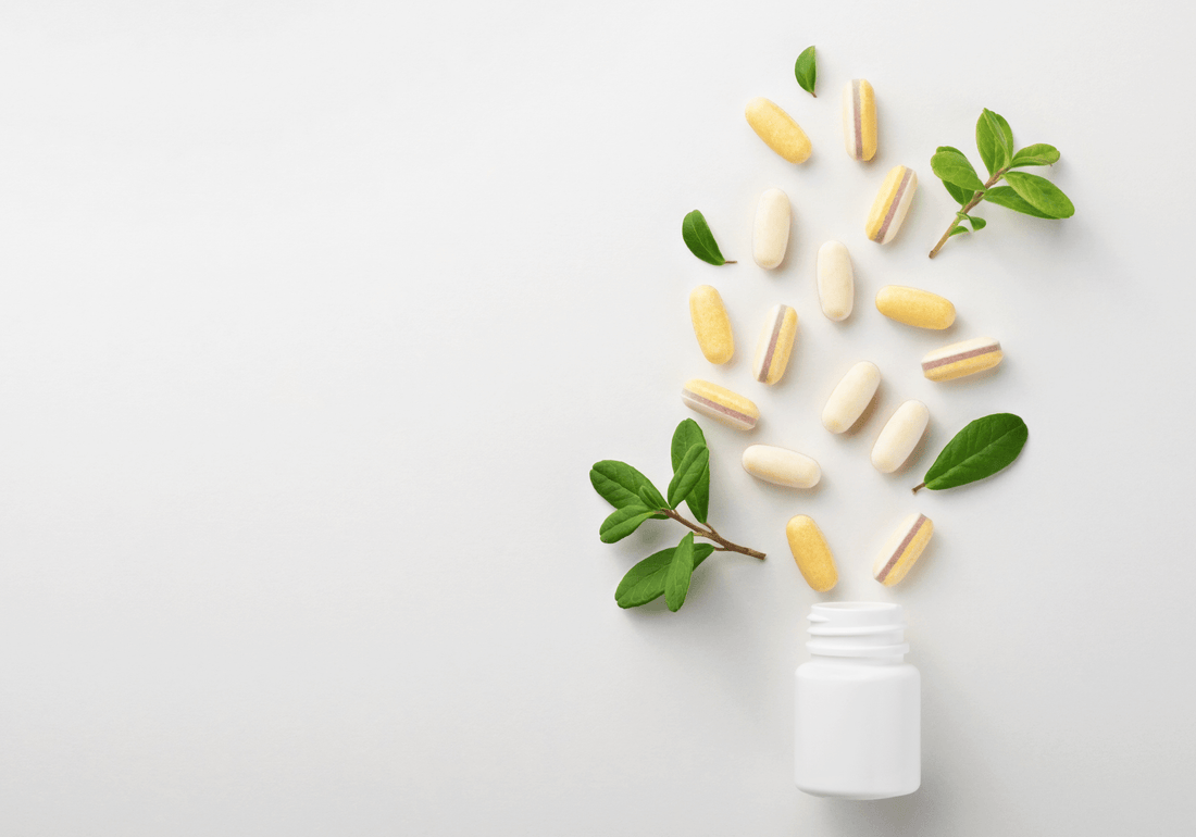 The Impact of Prenatal Supplements on Maternal and Fetal Health