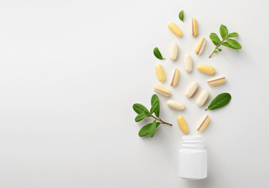 The Impact of Prenatal Supplements on Maternal and Fetal Health