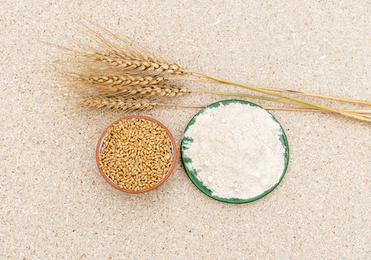 How Gluten Impacts Egg and Sperm Health