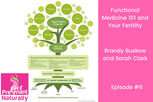 Functional Medicine 101 and Your Fertility