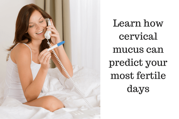 cervical-mucus.png