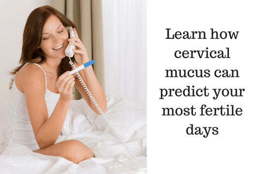 cervical-mucus.png