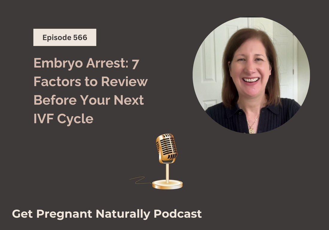Functional fertility podcast embryo arrest and factors to consider before next IVF cycle