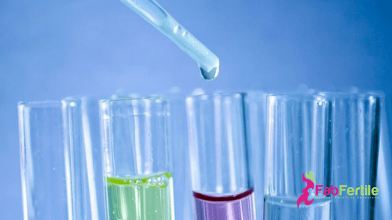 Functional Lab Testing and your Fertility